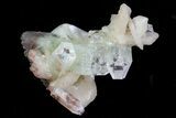 Zoned Apophyllite Crystals With Stilbite - India #72095-1